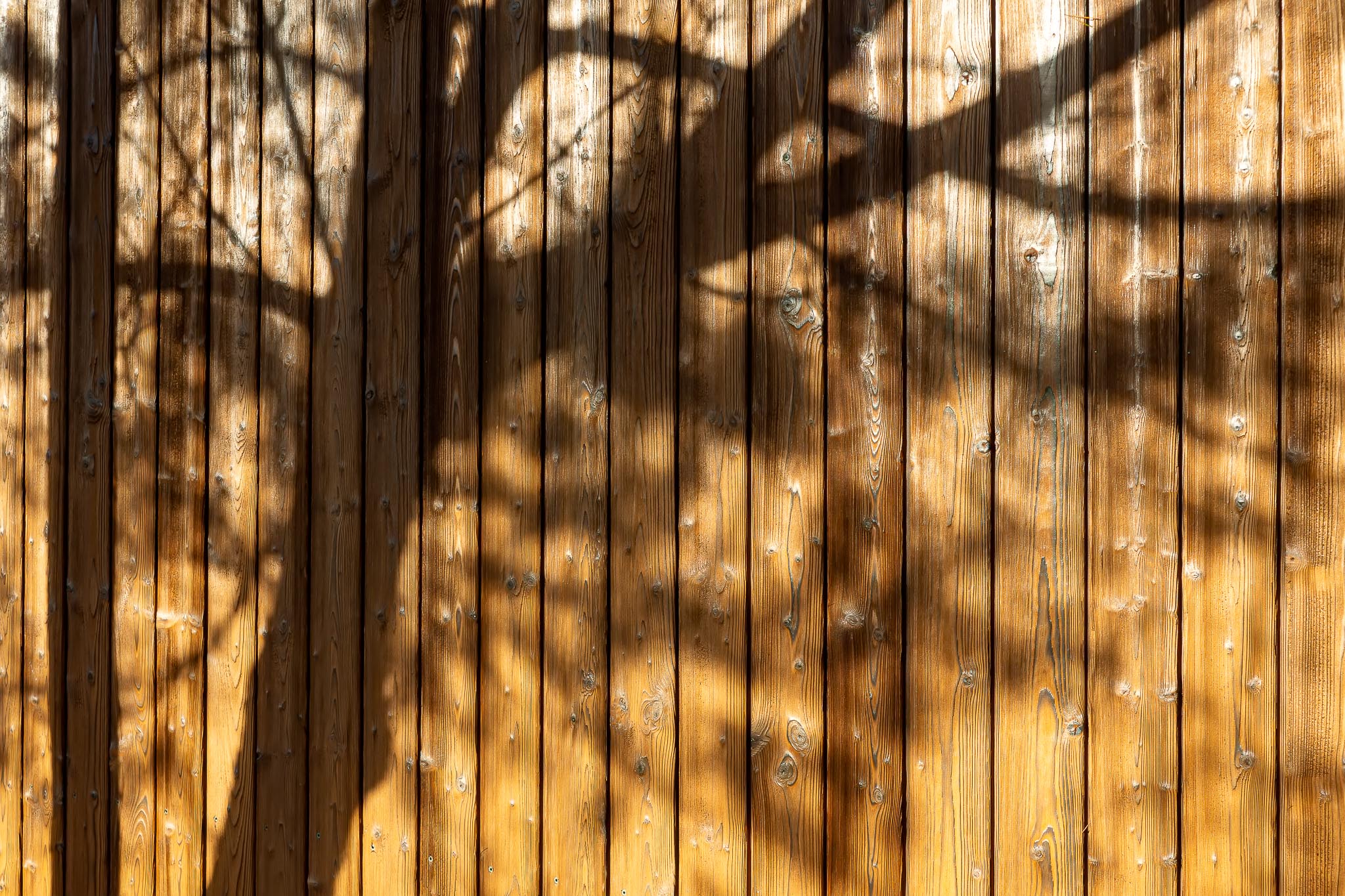 0004_2024-12-13-Nemunasglamping